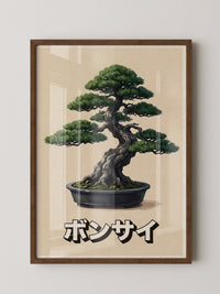 Bonsai Baum traditionell Kunst