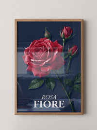 Rote Rose vor Dunkelblau
