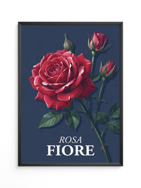 Rote Rose vor Dunkelblau