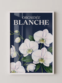 Orchideen Weiß auf Dunkelblau