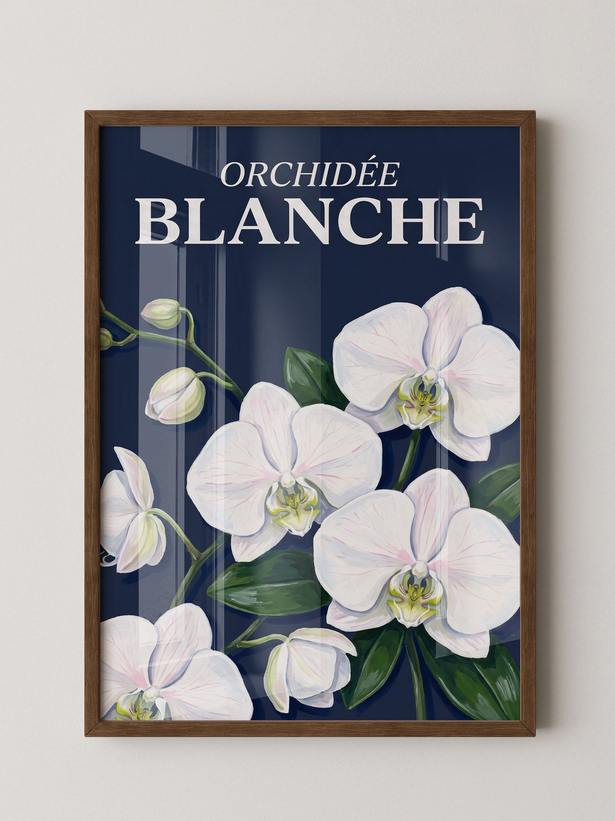 Orchideen Weiß auf Dunkelblau
