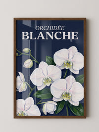 Orchideen Weiß auf Dunkelblau