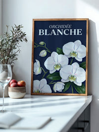 Orchideen Weiß auf Dunkelblau