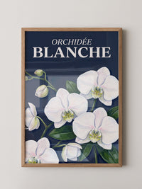 Orchideen Weiß auf Dunkelblau