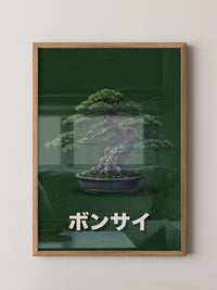 Bonsai mit grünem Hintergrund