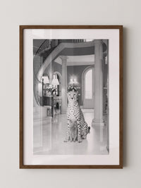 Gepard und Katze edel Schwarzweiß