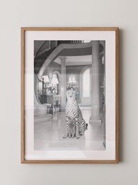 Gepard und Katze edel Schwarzweiß