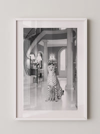 Gepard und Katze edel Schwarzweiß
