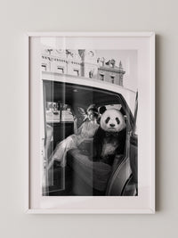 Retro Auto Panda Elegant S/W