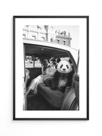 Retro Auto Panda Elegant S/W