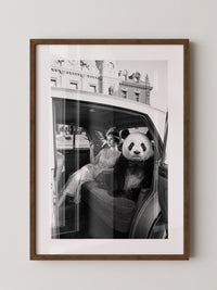 Retro Auto Panda Elegant S/W