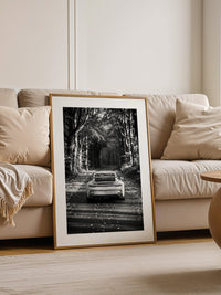 Porsche GT3 Herbststraße S/W
