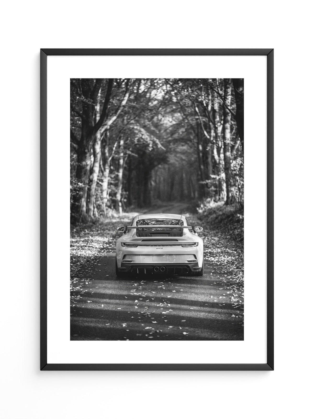 Porsche GT3 Herbststraße S/W