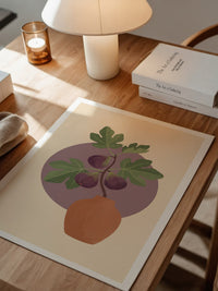 Feigenblatt Leuchtendes Violett