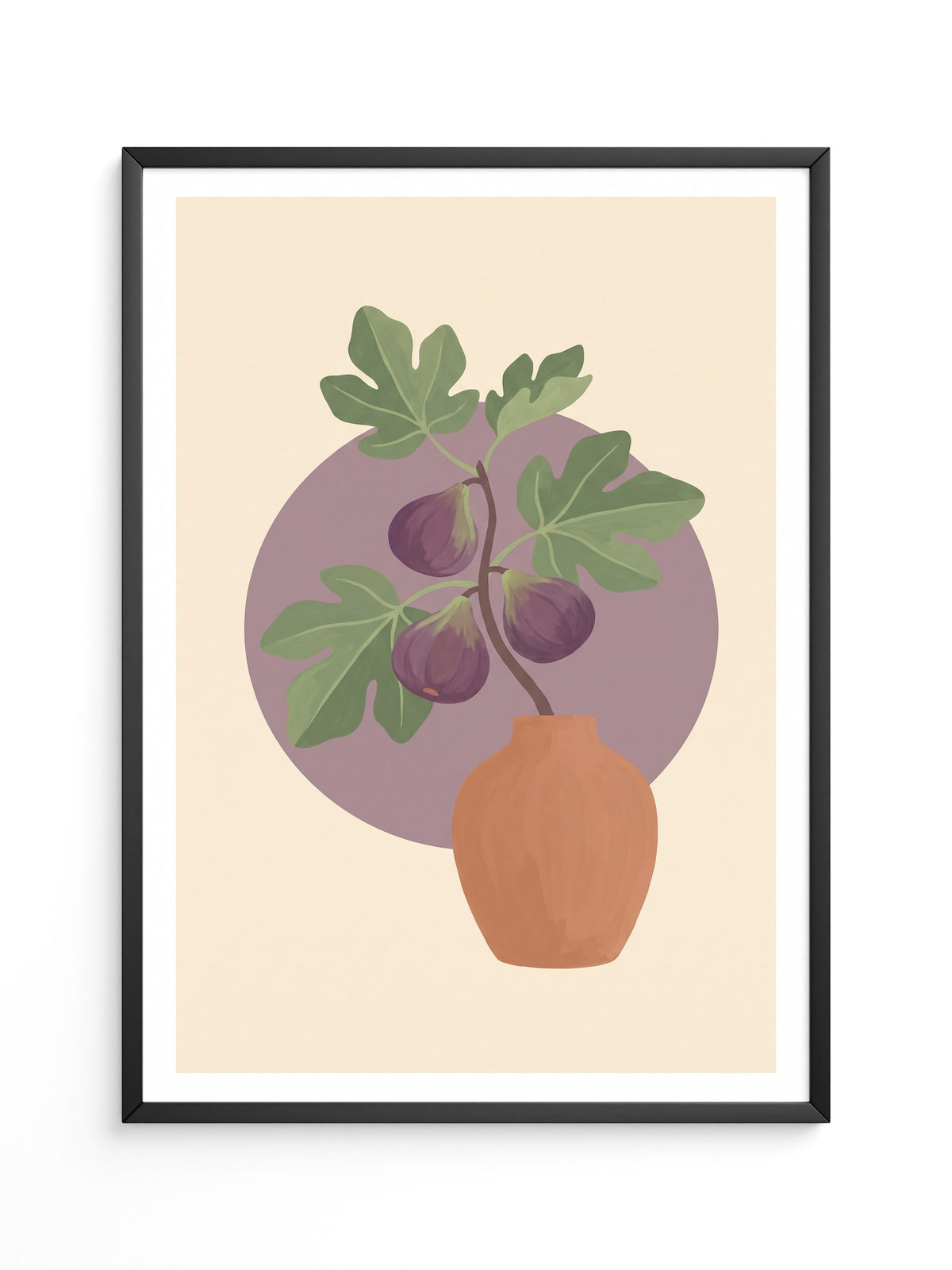 Feigenblatt Leuchtendes Violett