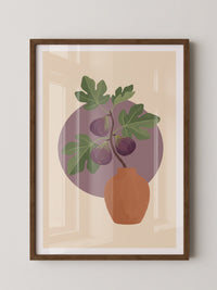 Feigenblatt Leuchtendes Violett