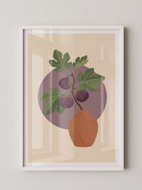 Feigenblatt Leuchtendes Violett
