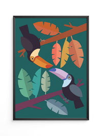 Tukan Vögel Illustration