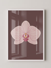 Orchidee Blüte Rosa Illustration