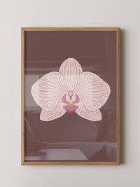 Orchidee Blüte Rosa Illustration