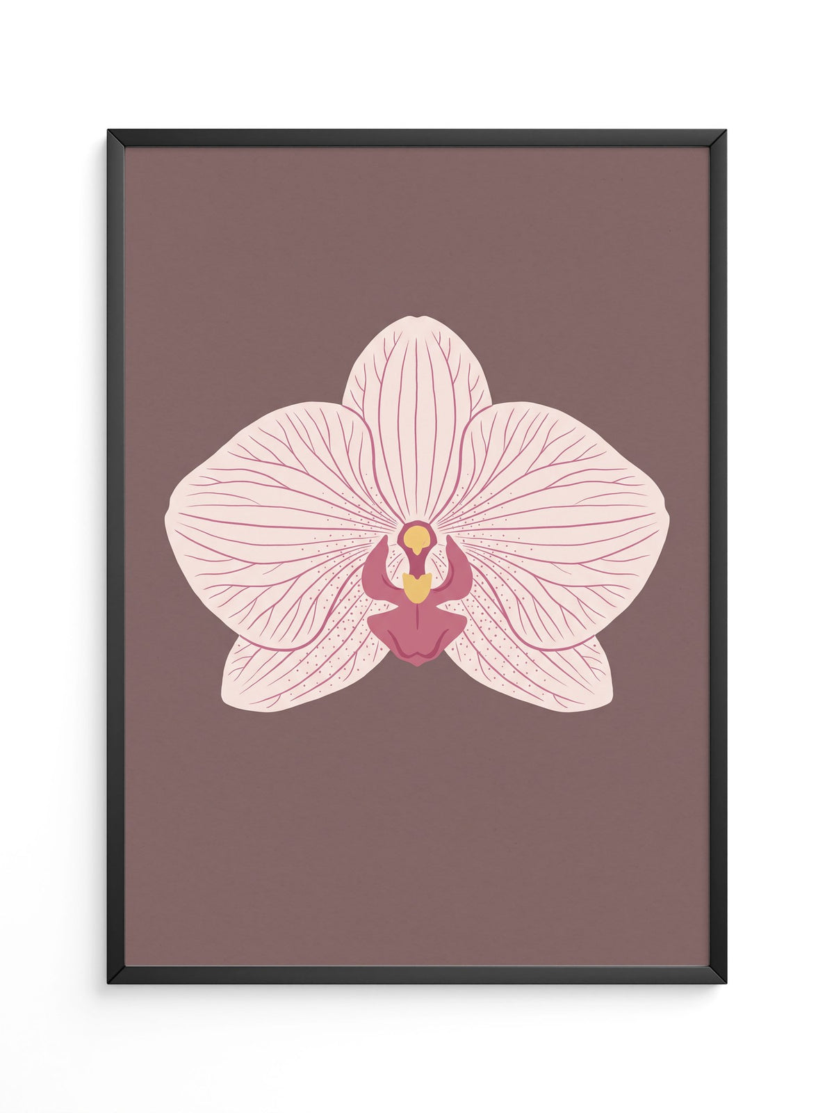 Orchidee Blüte Rosa Illustration