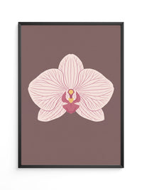 Orchidee Blüte Rosa Illustration
