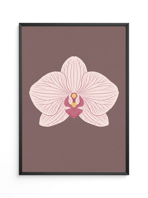 Orchidee Blüte Rosa Illustration