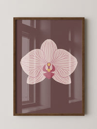 Orchidee Blüte Rosa Illustration