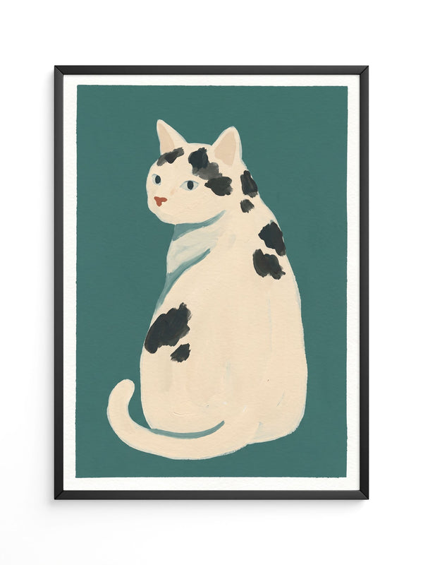Weiße Katze Flecken