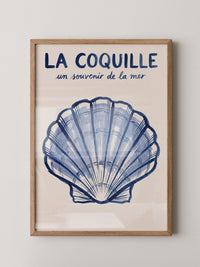 Muschel Blau Illustration