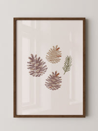 Zapfen Natur Minimalistisch