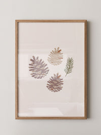Zapfen Natur Minimalistisch