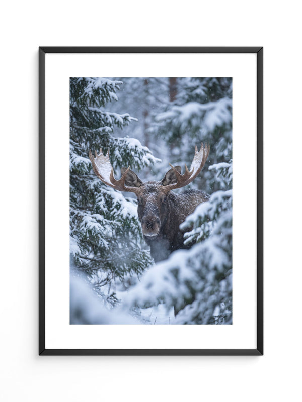 Winterlicher Elch Wald