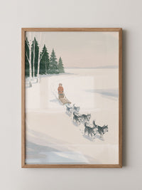 Huskyschlitten Winterlandschaft