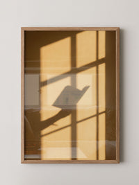 Fenster Silhouette Vogel