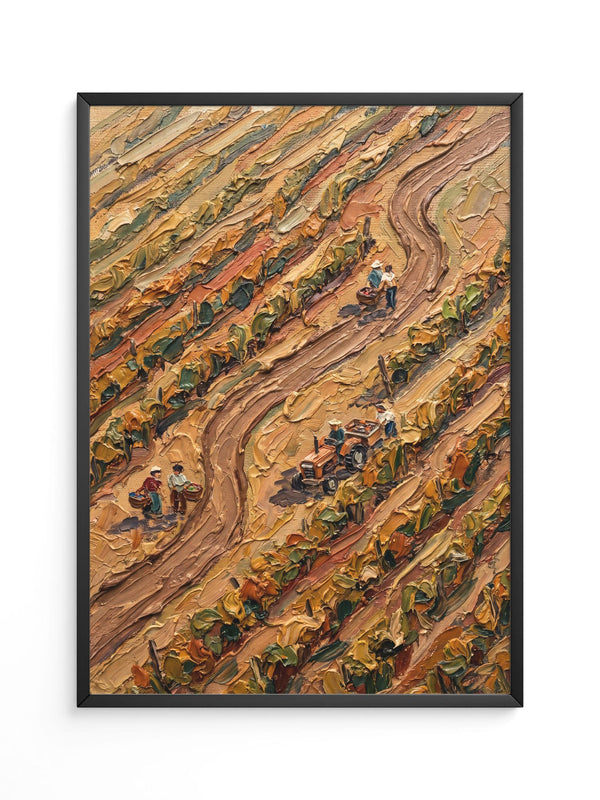 Weinberge Herbst Farben