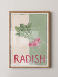 Radieschen Illustration