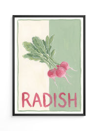 Radieschen Illustration