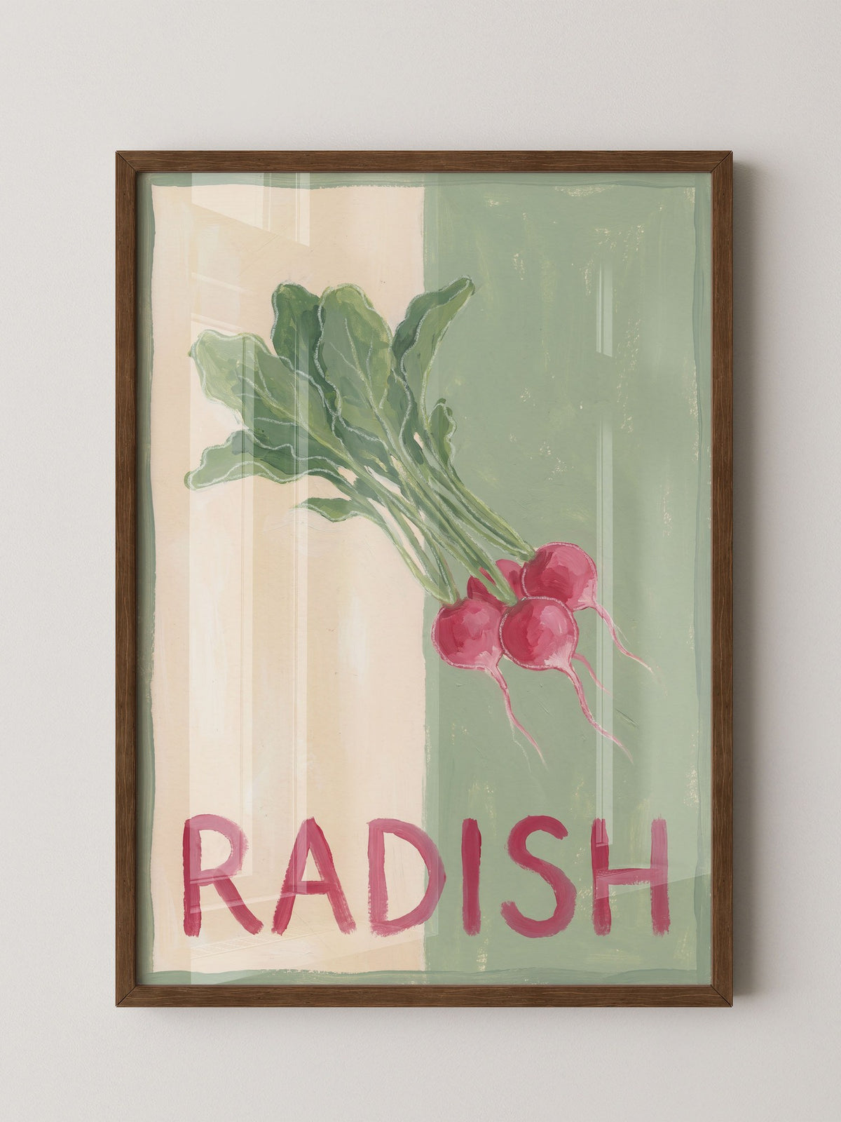 Radieschen Zeichnung retro