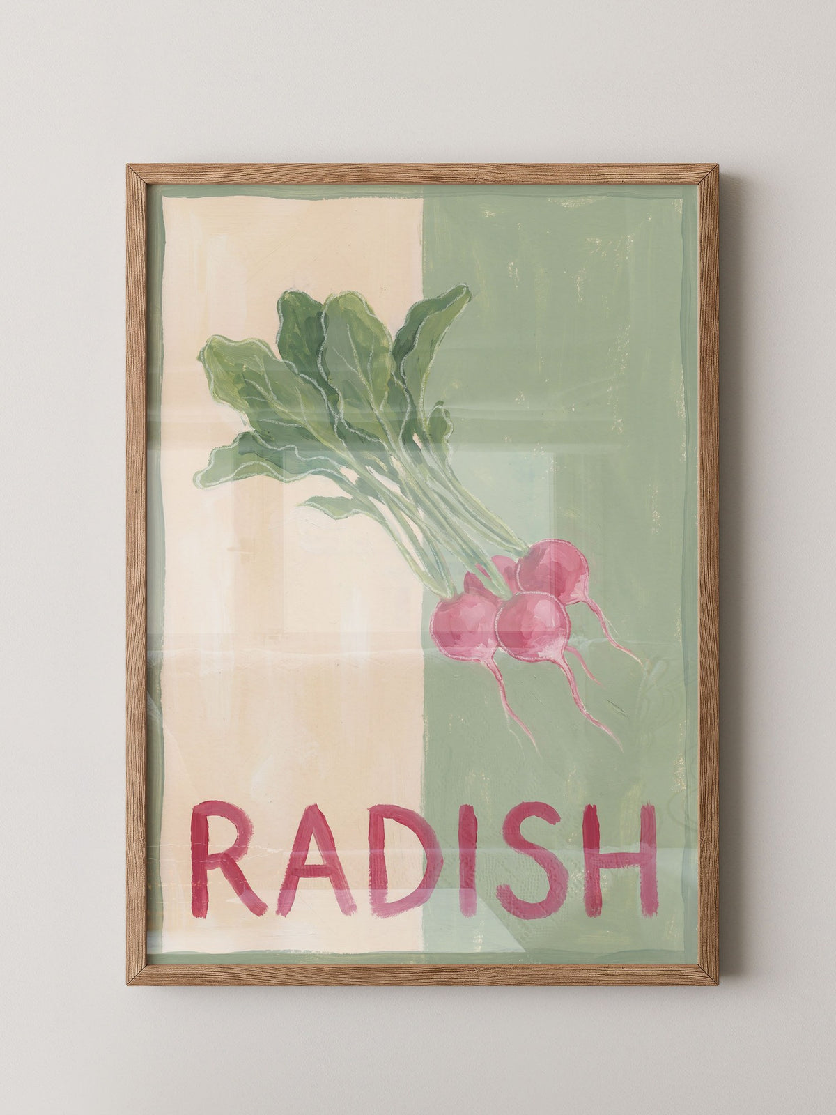 Radieschen Zeichnung retro