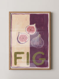 Farbige Feigen Illustration