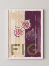 Farbige Feigen Illustration