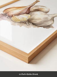Zwiebeln und Knoblauch Aquarell