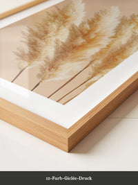 Pampasgras Beige Textur