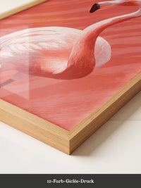 Flamingo Rot Illustration