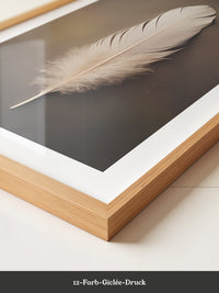 Feder Braun Minimalistisch