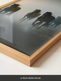 Pferde Galopp Nebelstimmung