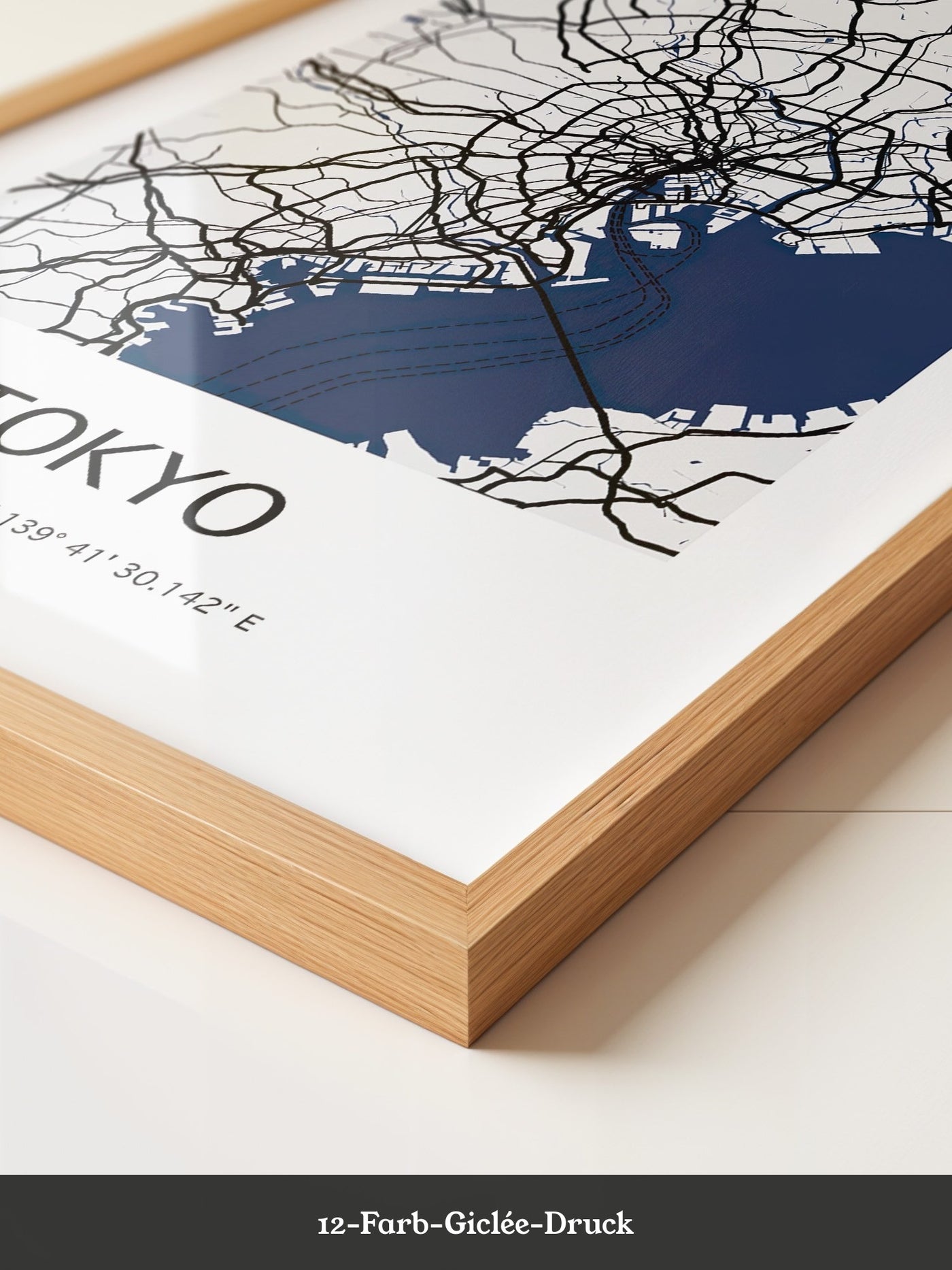 Tokio Stadtplan Schwarz-Weiß