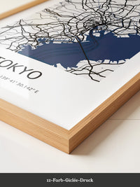 Tokio Stadtplan Schwarz-Weiß