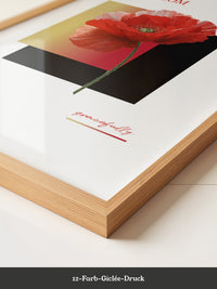 Roter Mohn Blüte Grafik